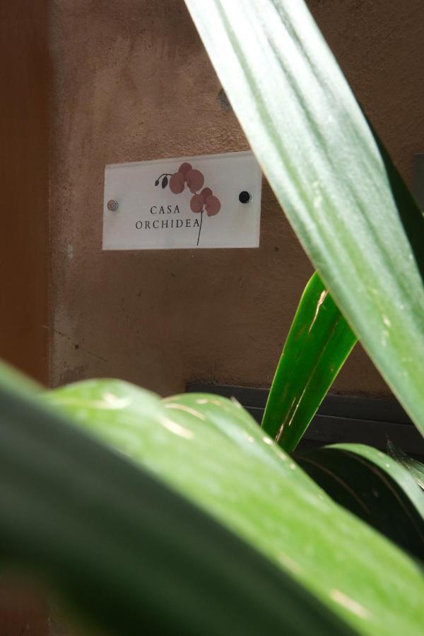 Casa Orchidea Apartamento Roma Exterior foto
